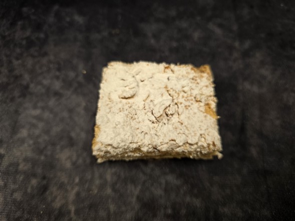 Fragilite tørkage