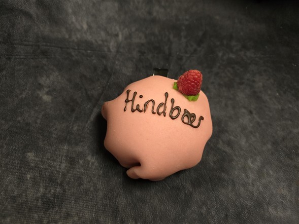 Hindbær bombe